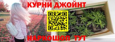гашиш Новодвинск