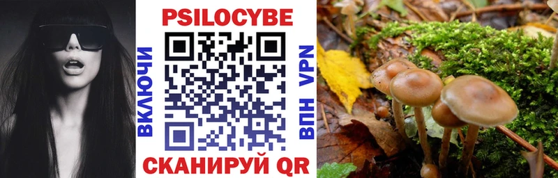 Псилоцибиновые грибы Psilocybe Заринск