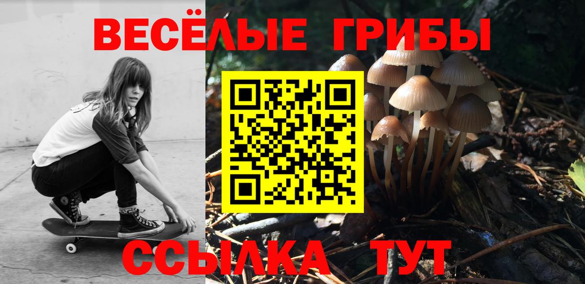 Псилоцибиновые грибы Psilocybe Заринск