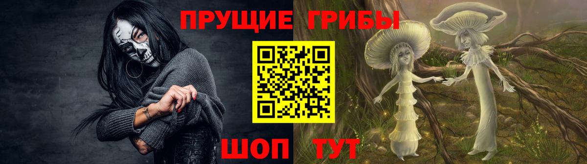 Псилоцибиновые грибы мухоморы  Вход с VPN  Заринск  Псилоцибиновые грибы прущие грибы 